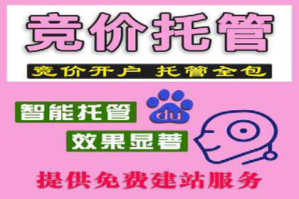 托管竞价SEM：助力企业实现营销目标